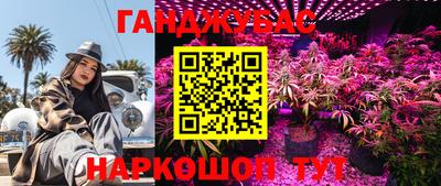 гидропоника Ставрополь