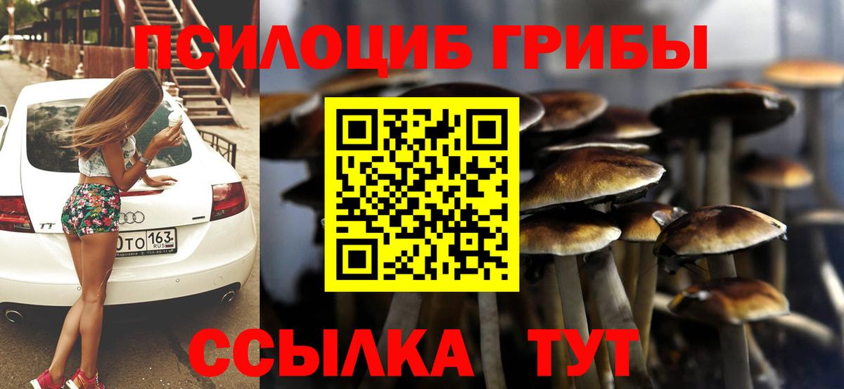 Галлюциногенные грибы Cubensis Барнаул